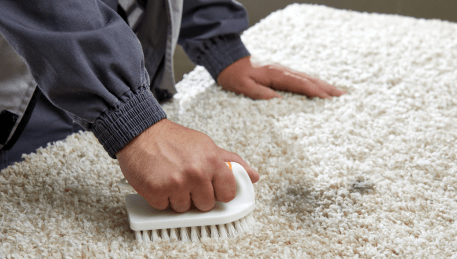 Professional Rug Cleaning Mount Evelyn